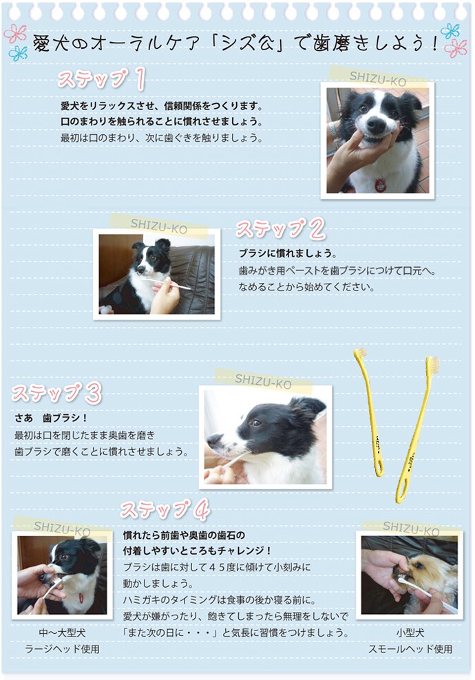 愛犬用歯ブラシ シズ公 ラージヘッド ソフトタイプ :za-skdl:albiot - 通販 - Yahoo!ショッピング