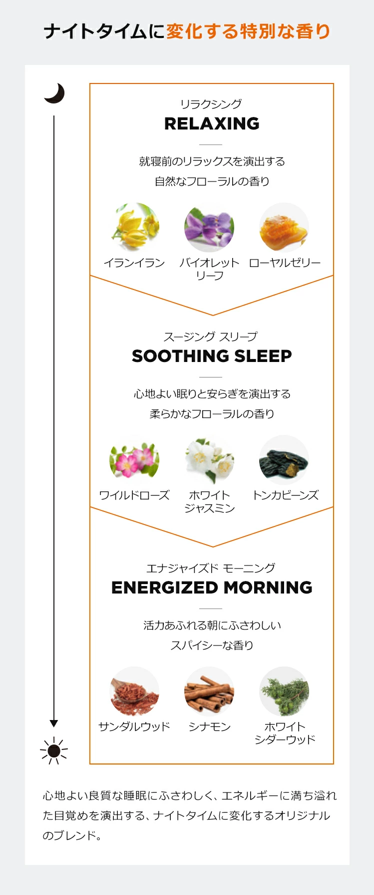 商品概要3