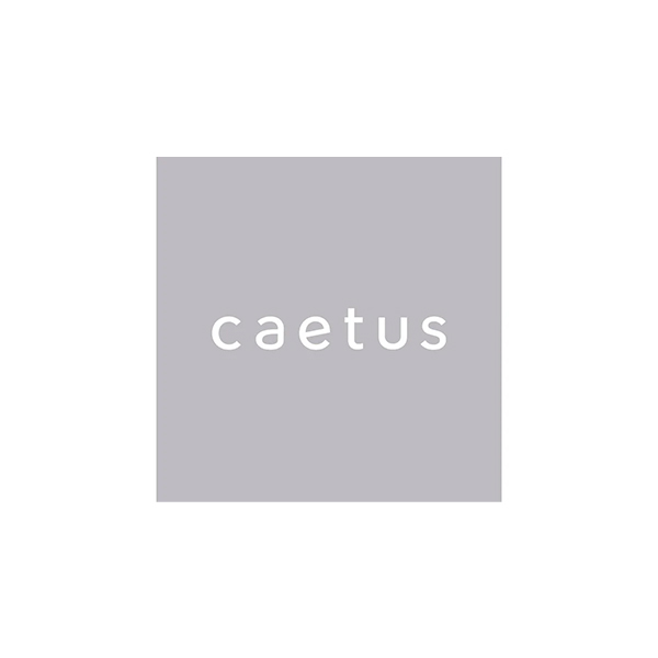 カエタステクノロジー logo
