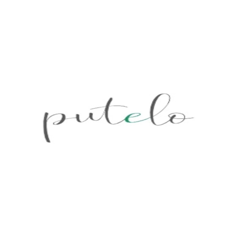 プテロ logo