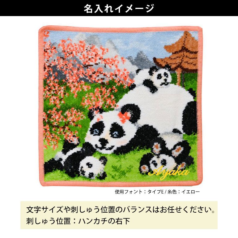 feiler（フェイラー） ハンカチ ハンドタオル タオルハンカチ 25cm