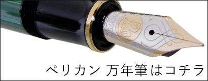 Pelikan（ペリカン） インク ボトルインク 万年筆 エーデルシュタイン