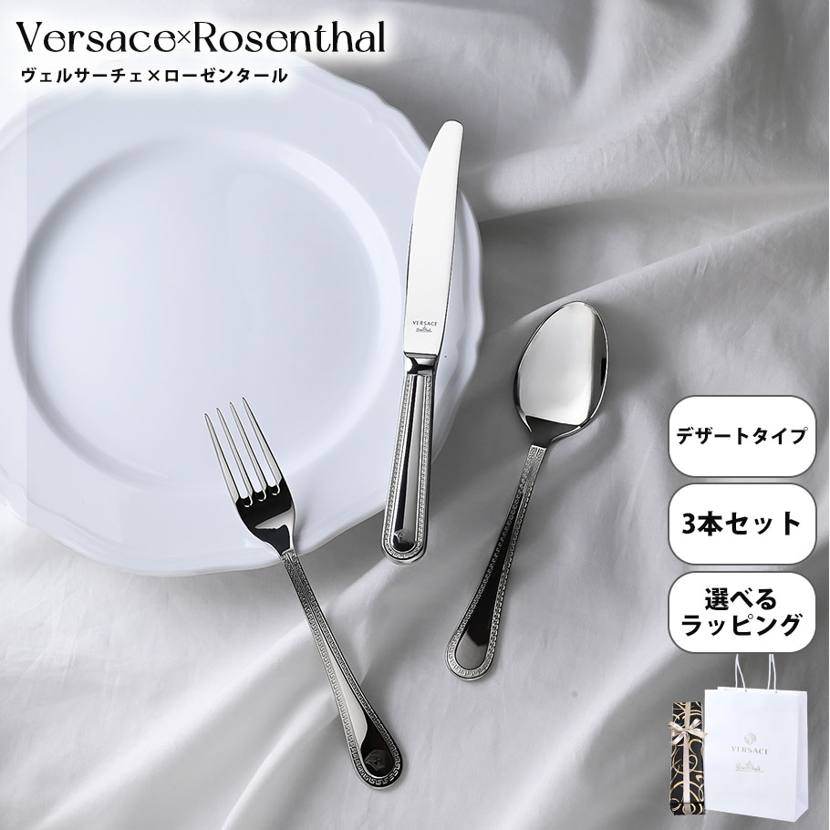 VERSACE 【スペシャルラッピング付き】【純正紙袋付き