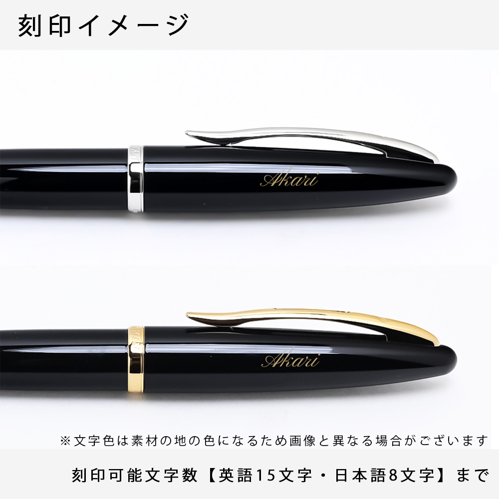 湘⭐︎ ウォーターマン ボールペンケース