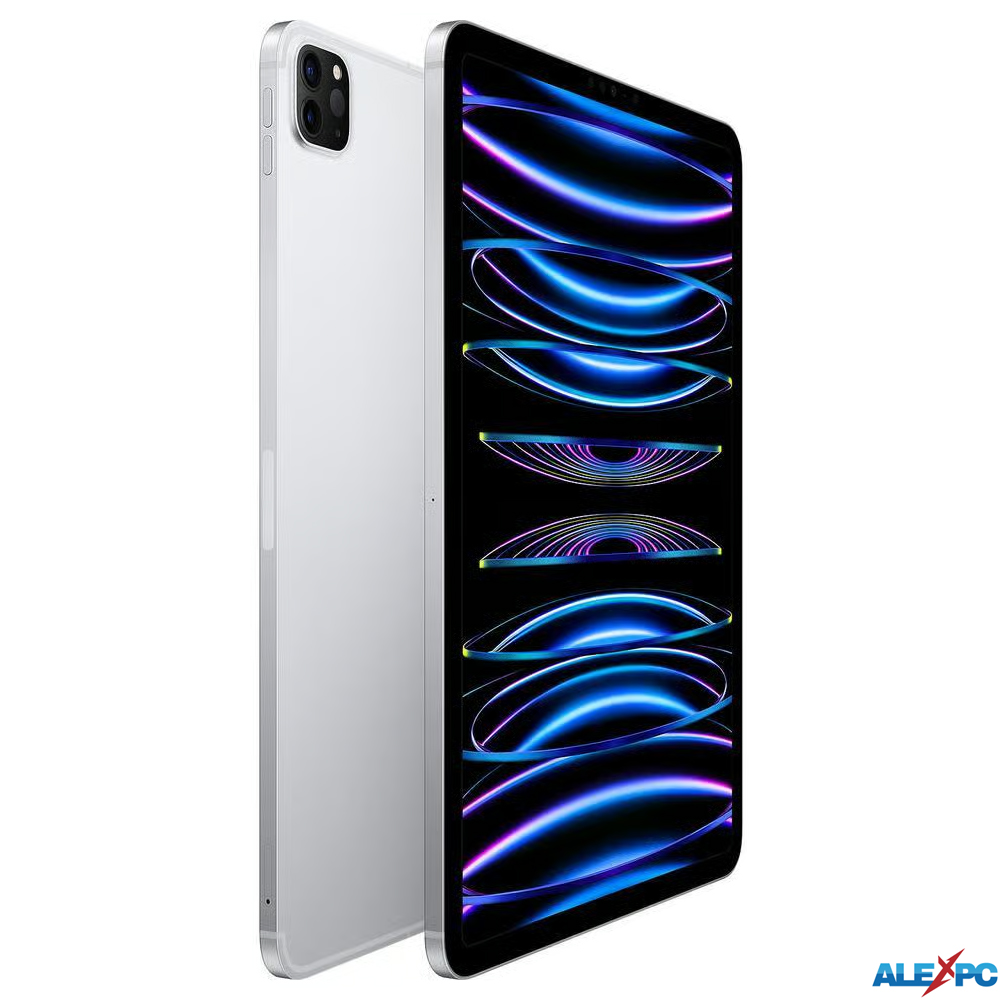 iPad Pro 11インチ 本体（内蔵ストレージ容量：1TB）のおすすめ人気