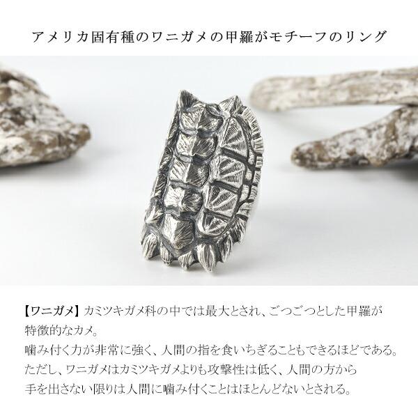 Cold I's ワニガメ 甲羅 リング 15〜27号 シルバー925 指輪 シルバー