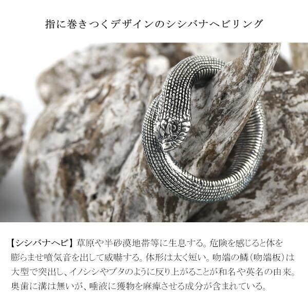 Cold I's シシバナヘビ 巻きつき リング 10〜27号 シルバー925 指輪