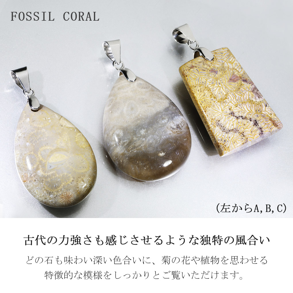 フォシルコーラル シルバー ペンダントトップ 数量限定 選べる 一点物