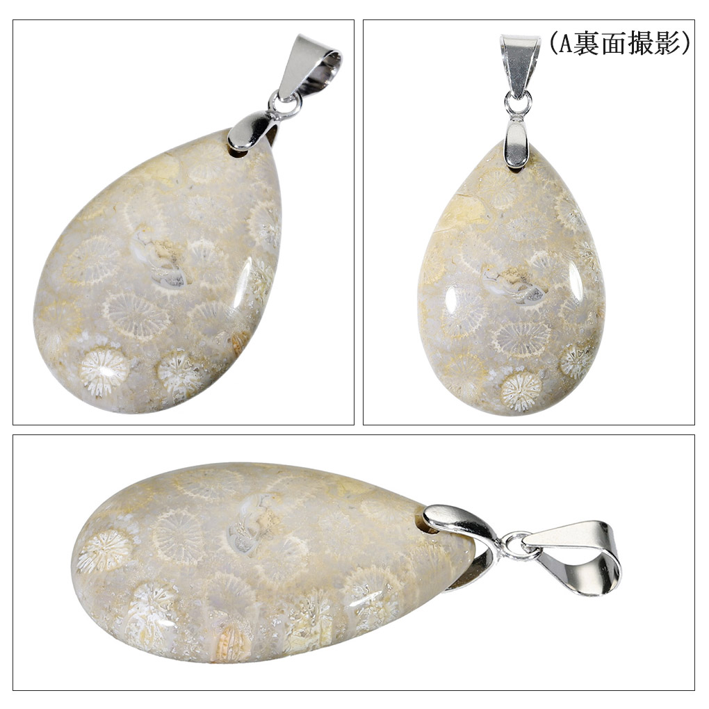 フォシルコーラル シルバー ペンダントトップ 数量限定 選べる 一点物
