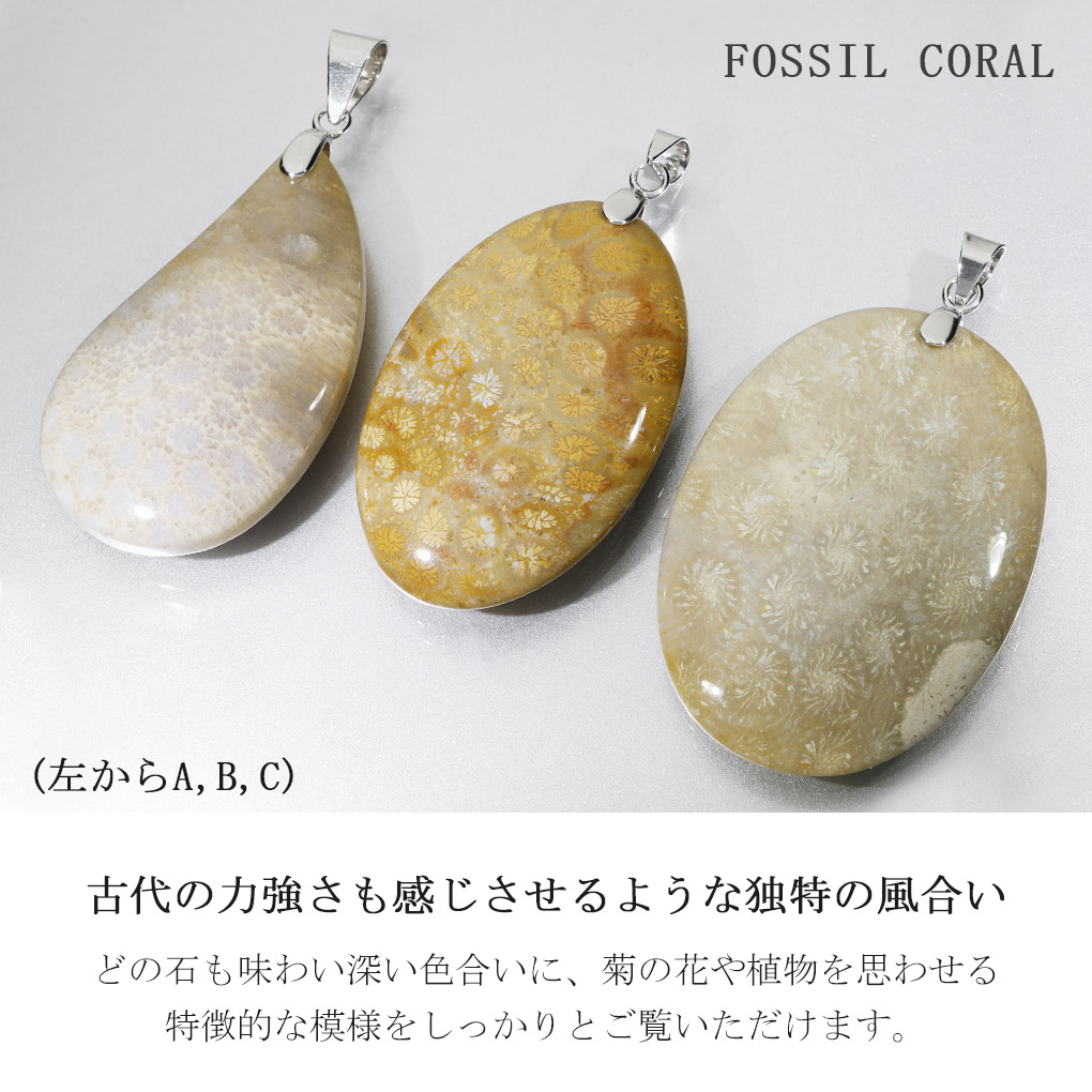 フォシルコーラル シルバー ペンダントトップ 数量限定 選べる 一点物