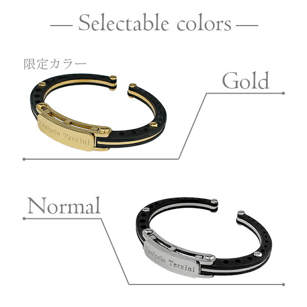 Zanipolo Terzini（ザニポロ タルツィーニ） バングル メンズ ブランド