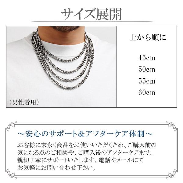 Phiten（ファイテン） チタンネックレス メンズ 限定 喜平チェーン