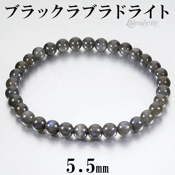 ֥å֥ɥ饤 ֥쥹å 5.5mm 16.5~17.5cm S~L  ֥ɥ饤 ŷ ѥȡ ֥å ֥롼  