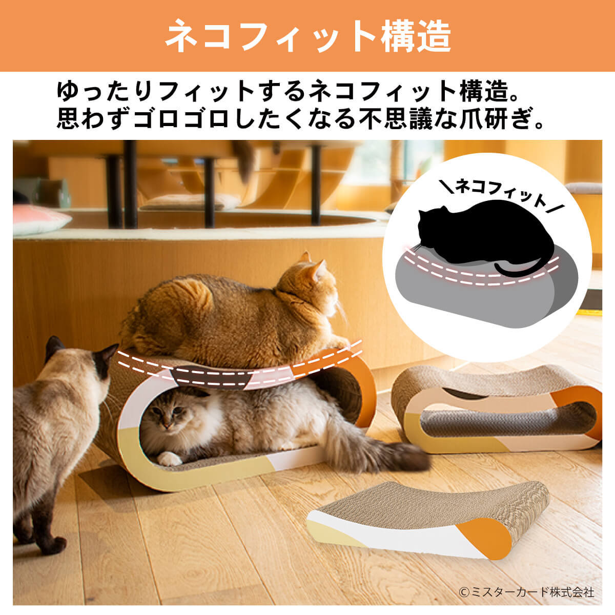 【2点セット】　猫用 爪研ぎ 3タイプ1セット 楽天市場】猫用 爪研ぎ ネコフィットソファ 3タイプ1セット 猫