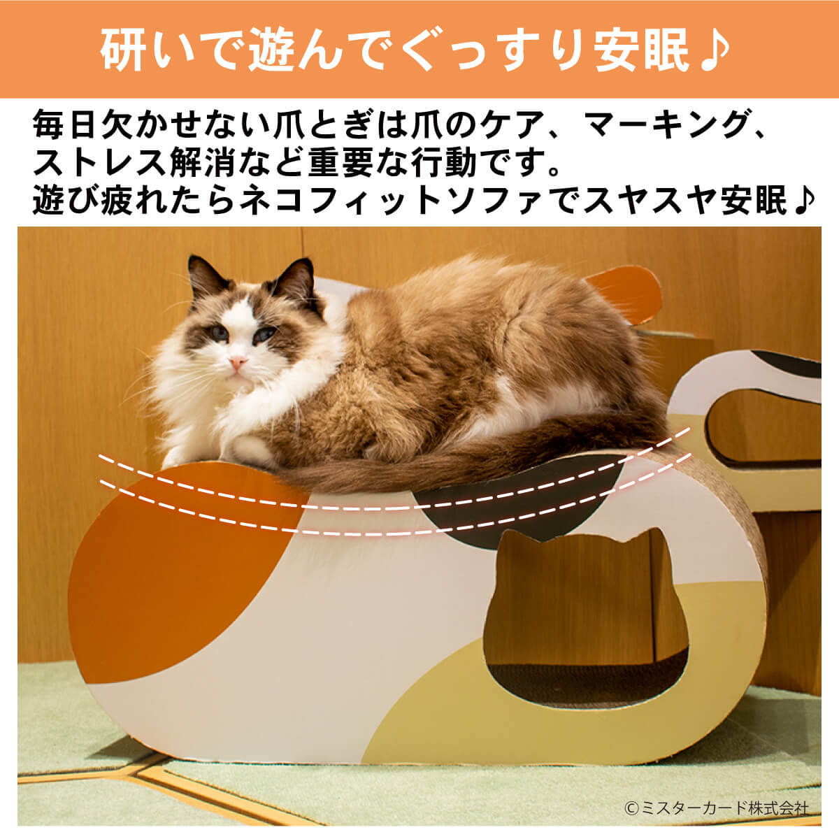 【2点セット】　猫用 爪研ぎ 3タイプ1セット miraiON 猫用 爪研ぎ ネコフィットソファ 3タイプ1セット 猫