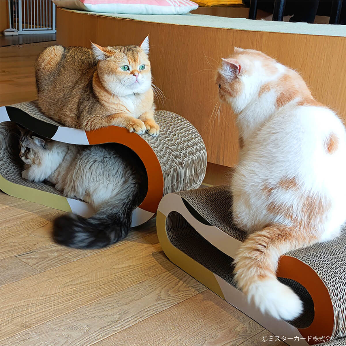 VF6154 未開封 薬屋 おおきなSOFVIMATES 猫猫 3個セット 974. 薬屋のひとりごと おおきなSOFVIMATES～猫猫～