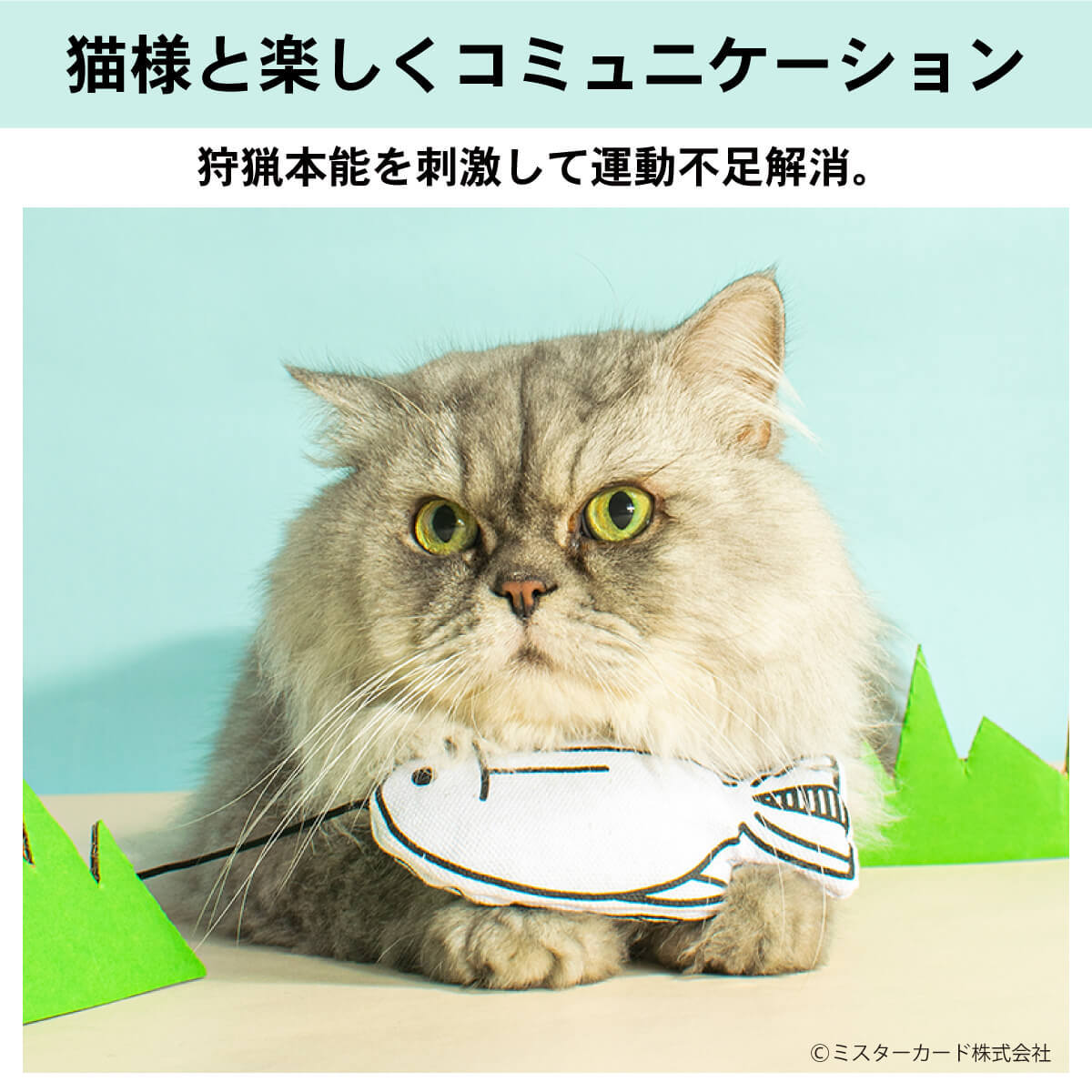 miraiON 猫じゃらし ギフト 猫おもちゃ お魚詰め合わせ 外せる