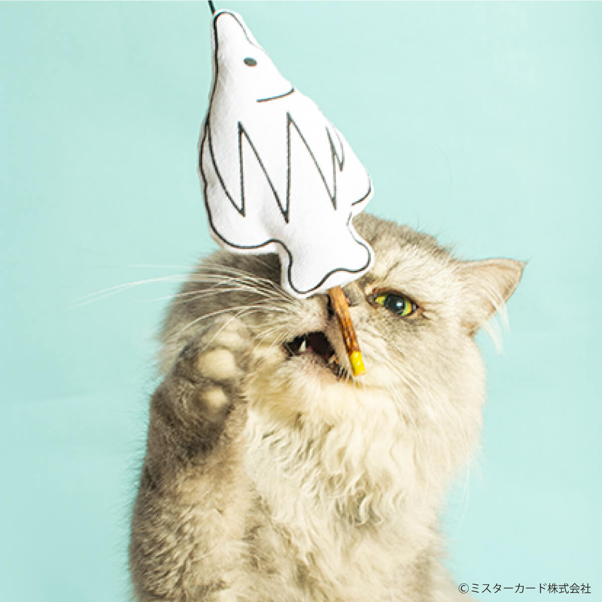 ねこじゃらしさん専用ATOPISMILE 50g 未開封　2本セット 猫じゃらし フワ玉・しっぽ 2本セット: 200｜業務用トリミング