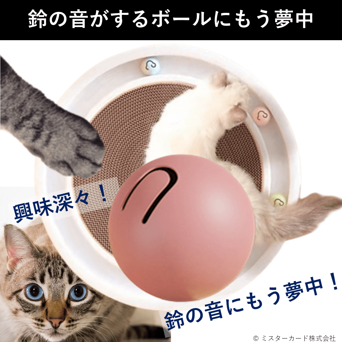 HUADAスクエア 猫ベッド 猫やぐら ミッドセンチュリー キャット