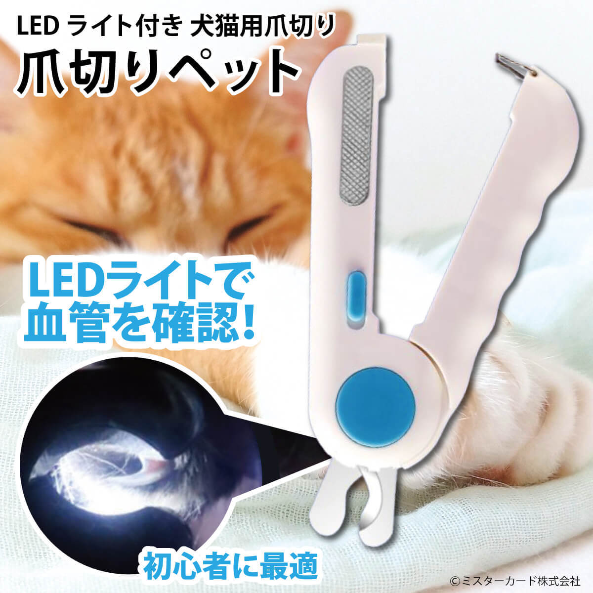 爪切りペット LEDライト付き 犬 猫 ペット用 爪きり ステンレス刃 血管 ニッパー式 ヤスリ付き 爪磨き 飛散防止 ネイルケア カプセルペット  MR-PETCL03 :MR-PETCL03:オールバイ - 通販 - Yahoo!ショッピング
