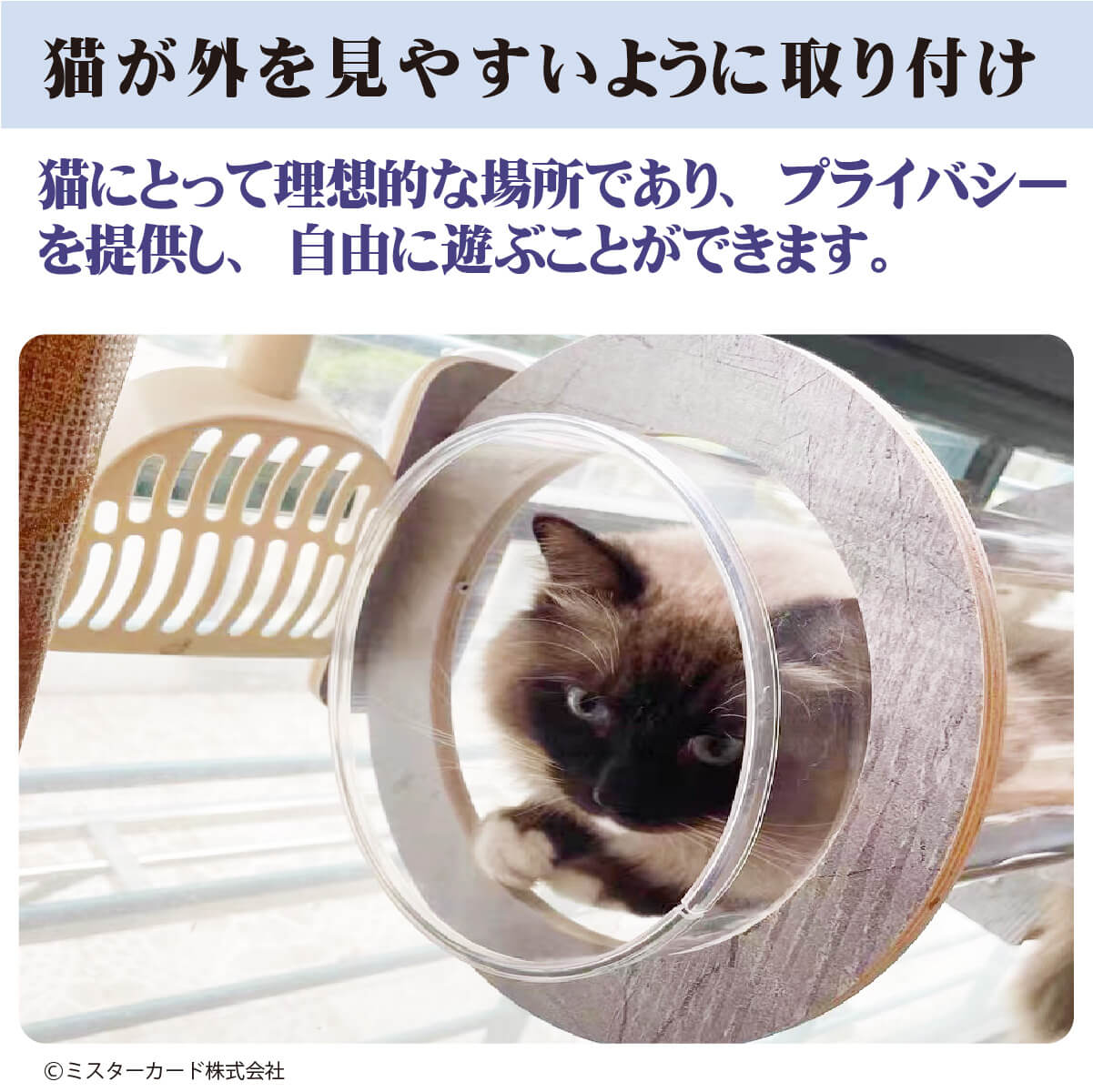 猫トンネル 吸盤式 キャットタワー JOYCATスカイトンネル MR-PETCT-13 