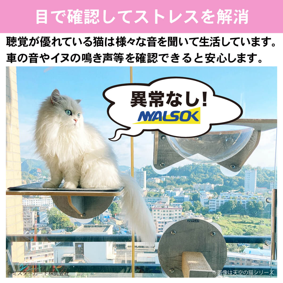 猫 アクリル ハンモック ベット キャットタワー キャットウォーク キャットステップ おしゃれ 強力 吸盤 窓 壁 壁付け 壁掛け 猫用 JOYCAT  MR-PETCT-05 :MR-PETCT-05:オールバイ - 通販 - Yahoo!ショッピング