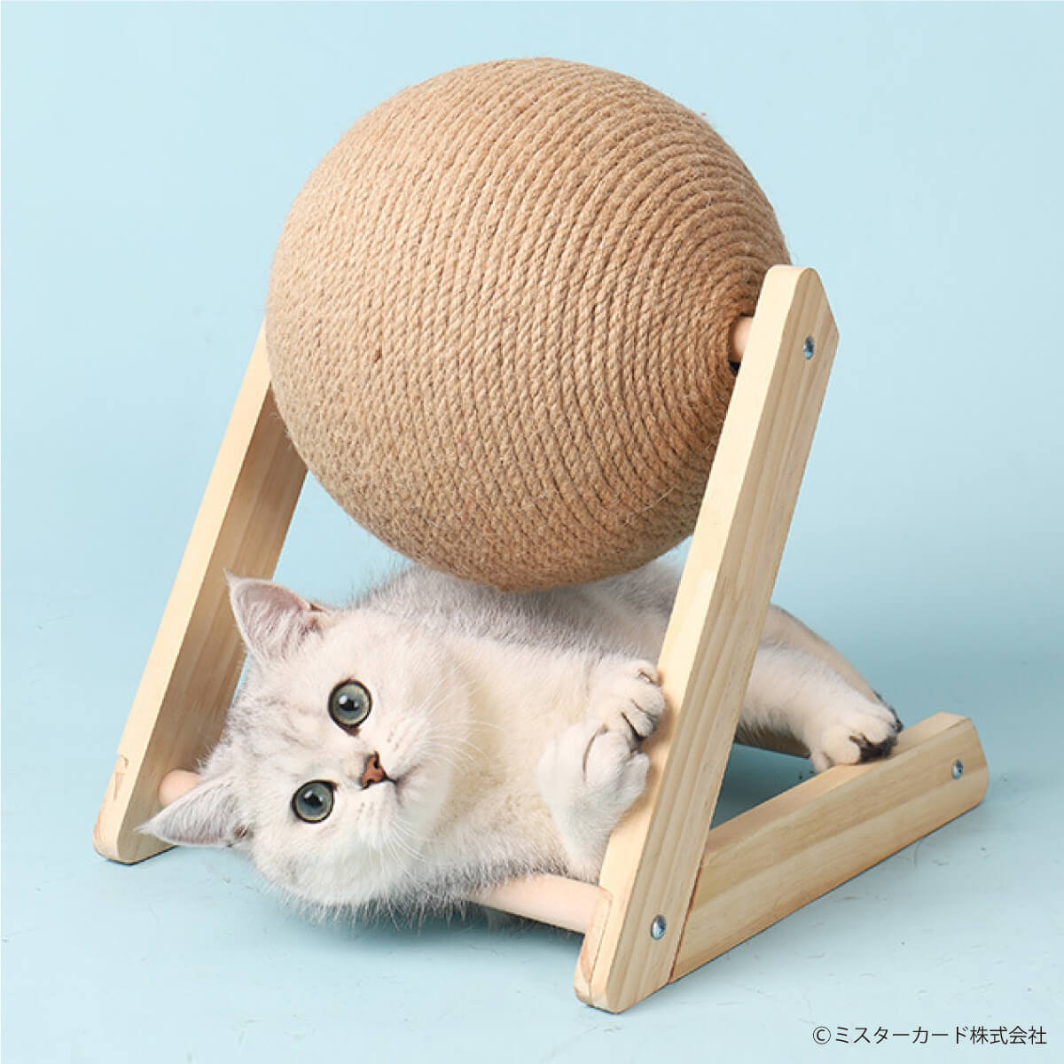 猫しか勝たんで放送！ 回転式 猫用 爪研ぎ バリたま 交換用ボール付属 猫 ネコ 爪とぎ ボール型 麻ひも 運動不足 ストレス ペット用品  MR-PETCT09 :MR-PETCT09:オールバイ - 通販 - Yahoo!ショッピング