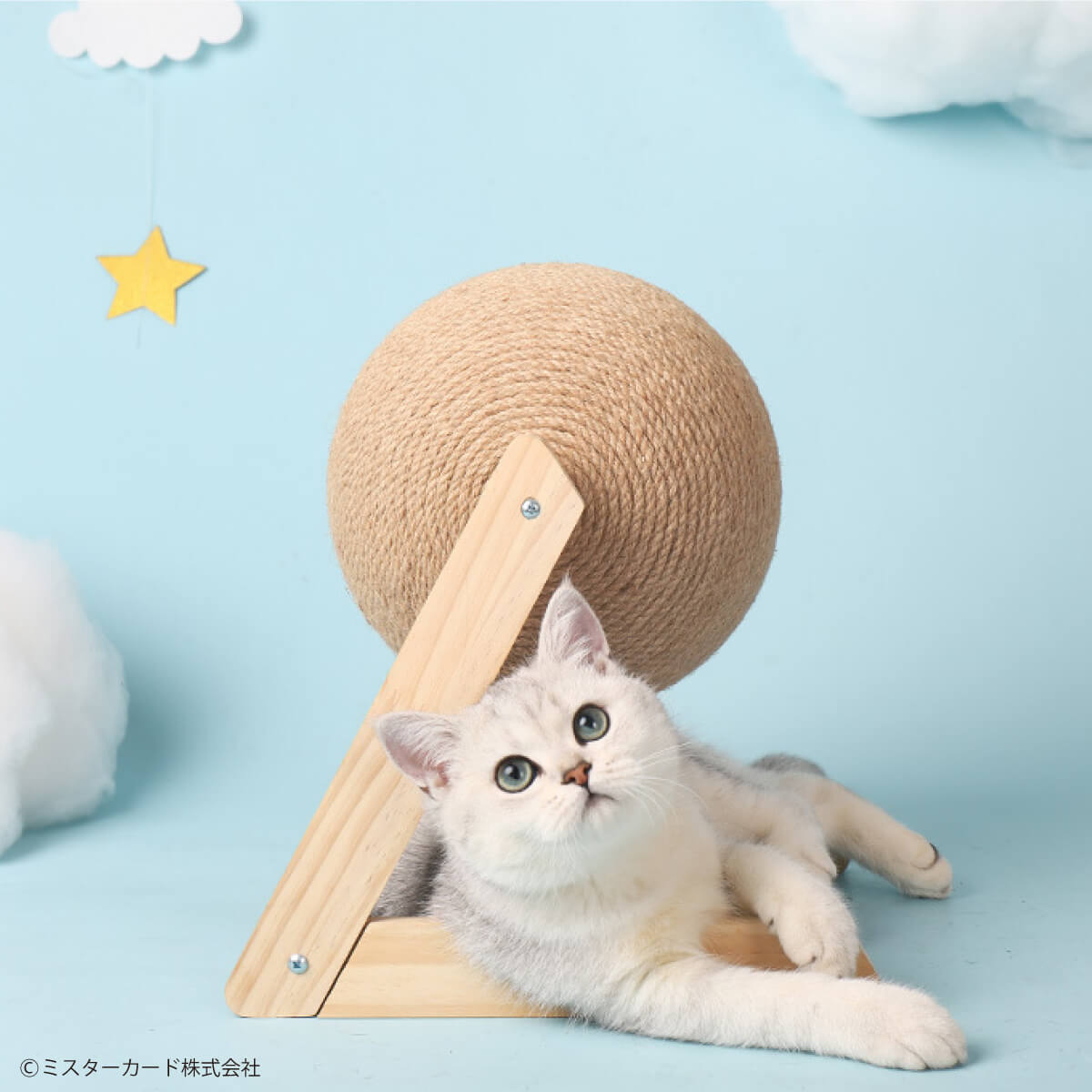 猫　子猫　飼育セット　キャリーバッグ　猫のトイレ　爪研ぎ　ペット用品 miraiON（ミライオン） テレビで紹介 バリたま ペット 用品 猫 爪とぎ