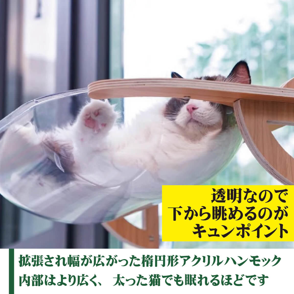 JoyCat 猫用ベッド JOYCATアクリルエリプス MR-PETJC-090 自由に