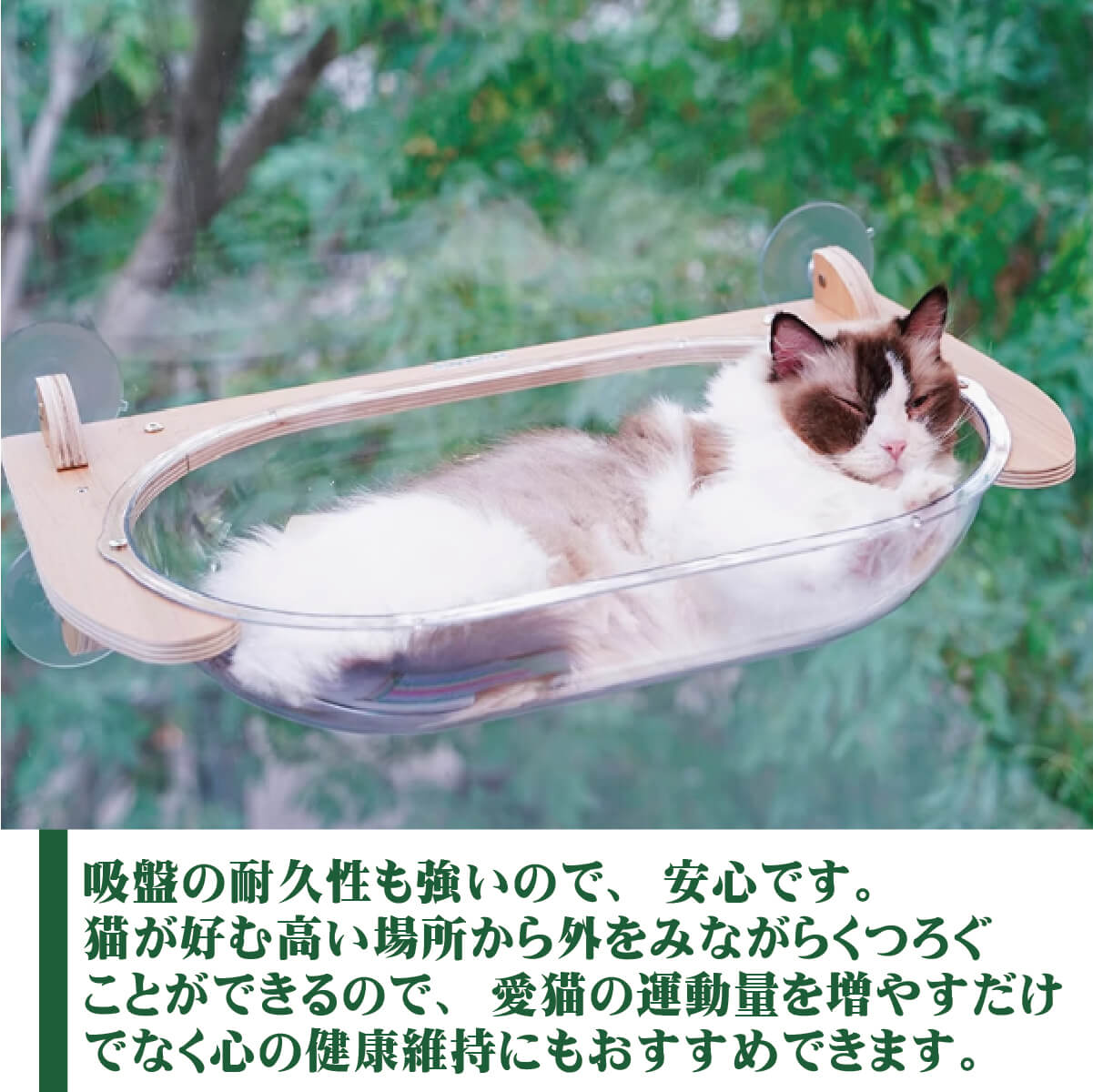 猫用ベッド　JOYCATアクリルエリプス MR-PETJC-090 自由に組み合わせられる吸盤式キャットタワー JOYCATシリーズ | JoyCat | 03