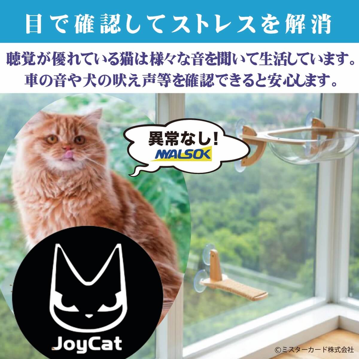 猫用ベッド　JOYCATアクリルエリプス MR-PETJC-090 自由に組み合わせられる吸盤式キャットタワー JOYCATシリーズ | JoyCat | 04