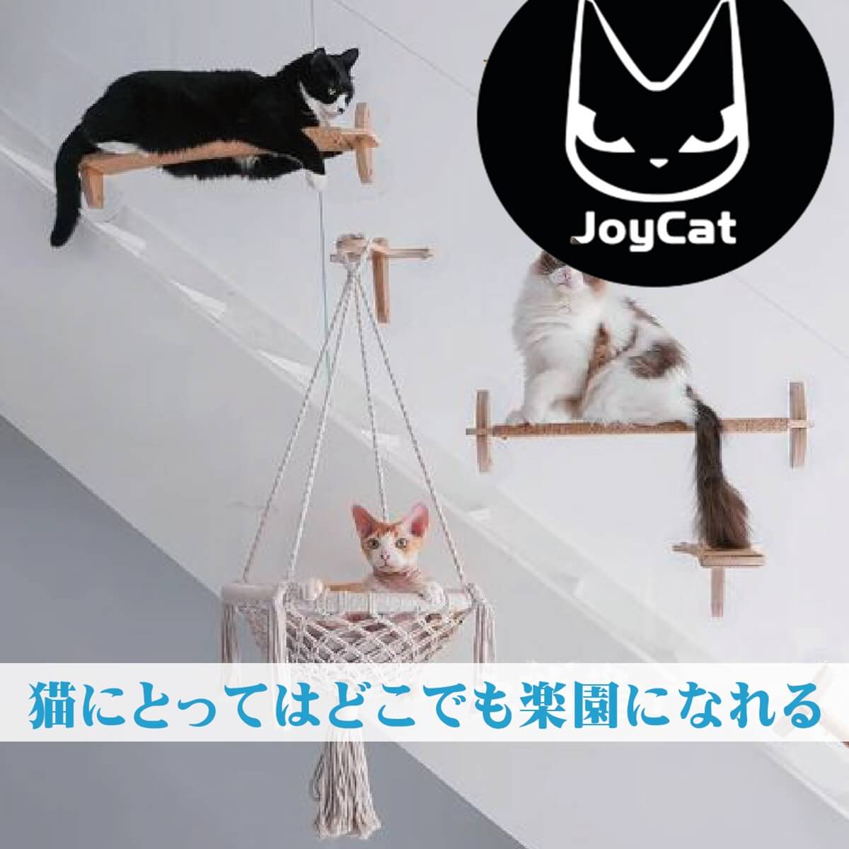 猫用ベッド　JOYCATアクリルエリプス MR-PETJC-090 自由に組み合わせられる吸盤式キャットタワー JOYCATシリーズ | JoyCat | 05