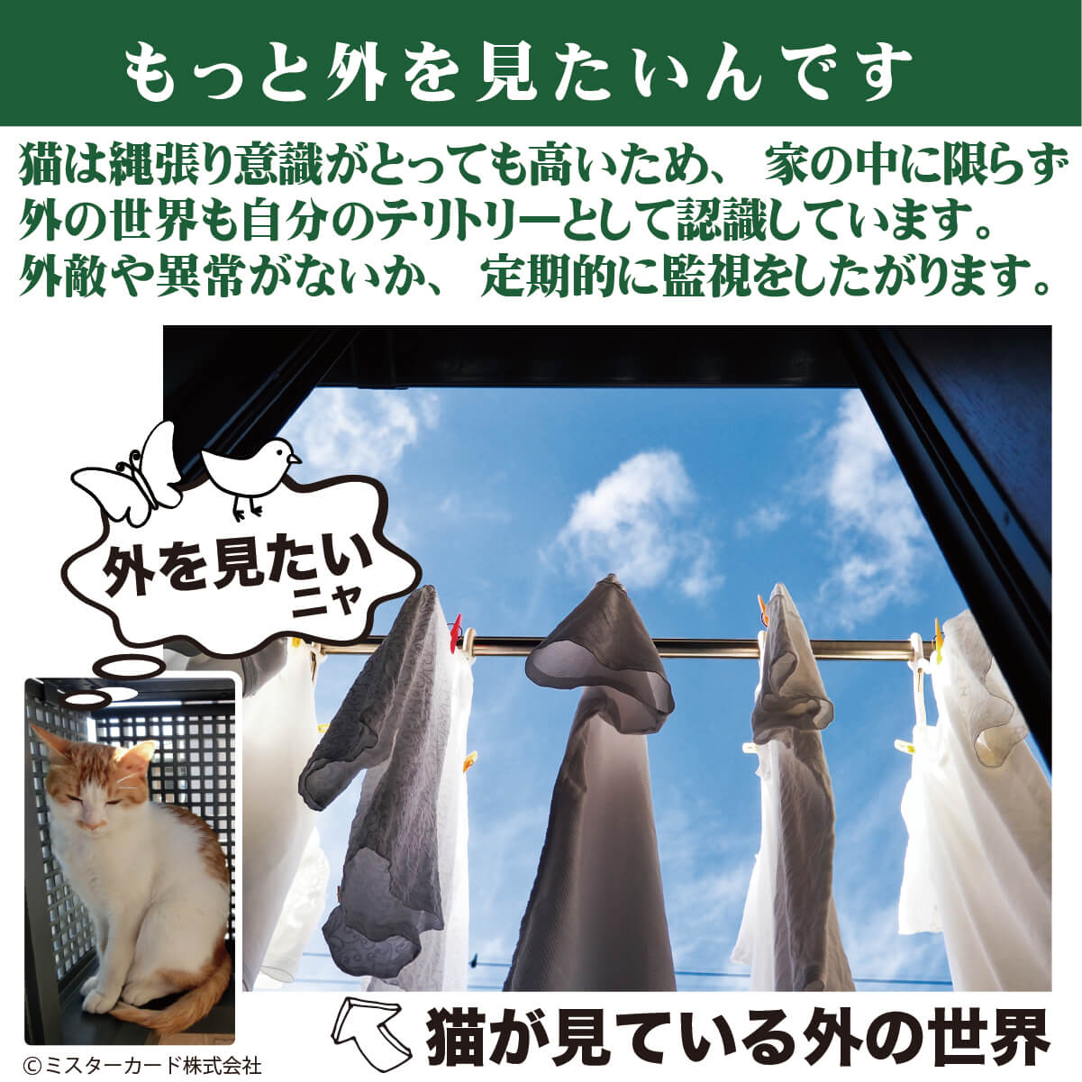 猫用ベッド　JOYCATアクリルエリプス MR-PETJC-090 自由に組み合わせられる吸盤式キャットタワー JOYCATシリーズ | JoyCat | 06