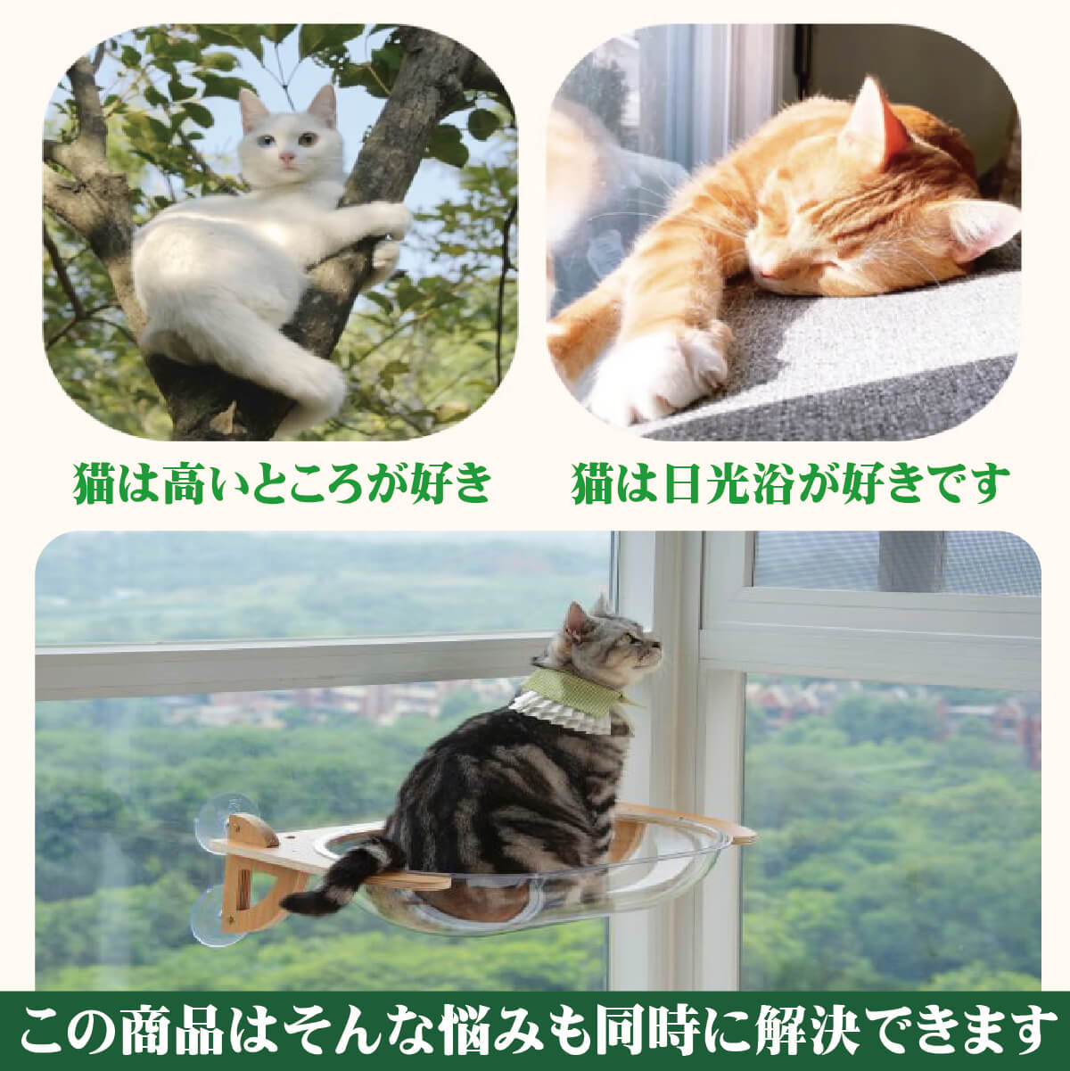 岩盤浴をする猫様 岩盤浴をする猫様 避けよ