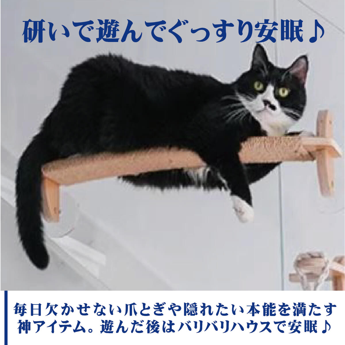 猫用ステップ＆爪とぎ JOYCAT吊り橋ステップ MR-PETJC-091  自由に組み合わせられる吸盤式キャットタワー | JoyCat | 01