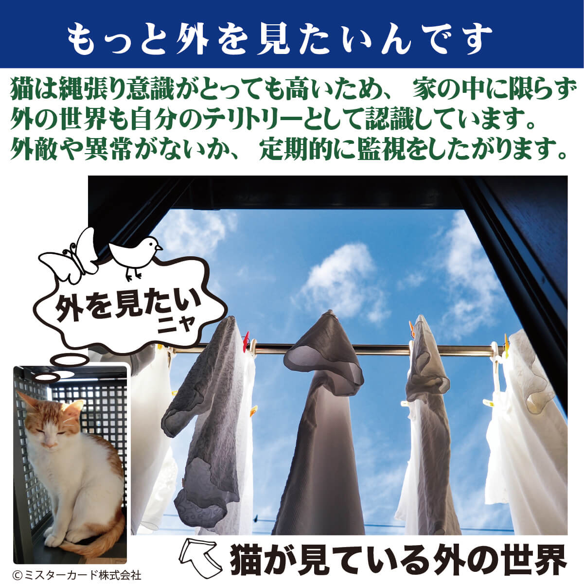 JoyCat 猫用ステップ＆爪とぎ JOYCAT吊り橋ステップ MR-PETJC-091 自由