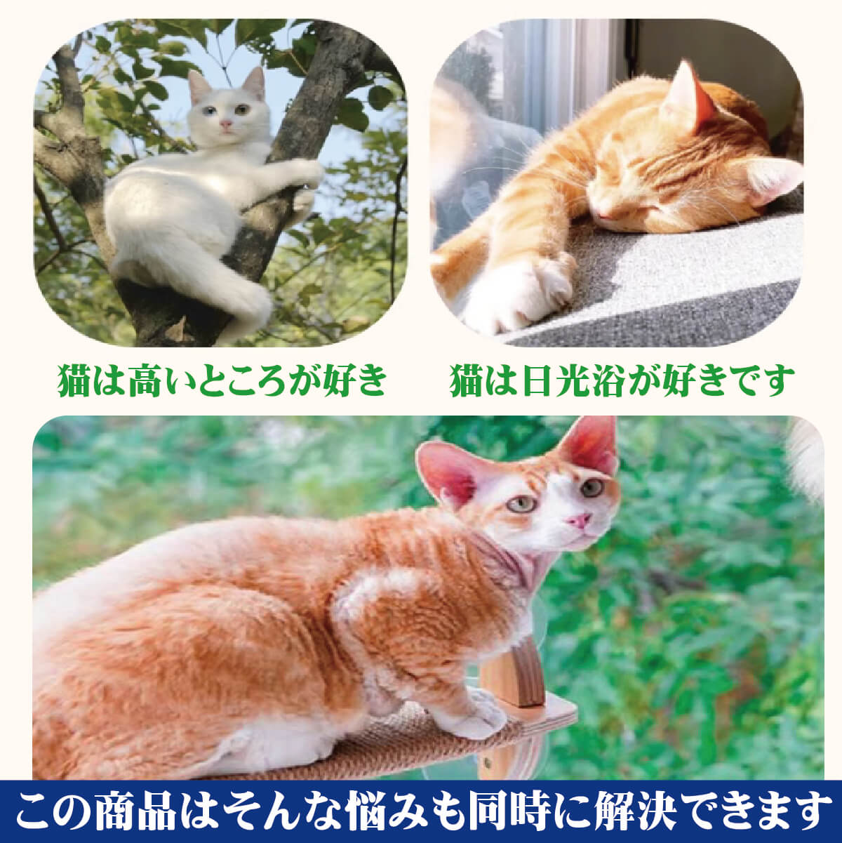 JoyCat 猫用ステップ＆爪とぎ JOYCAT吊り橋ステップ MR-PETJC-091 自由