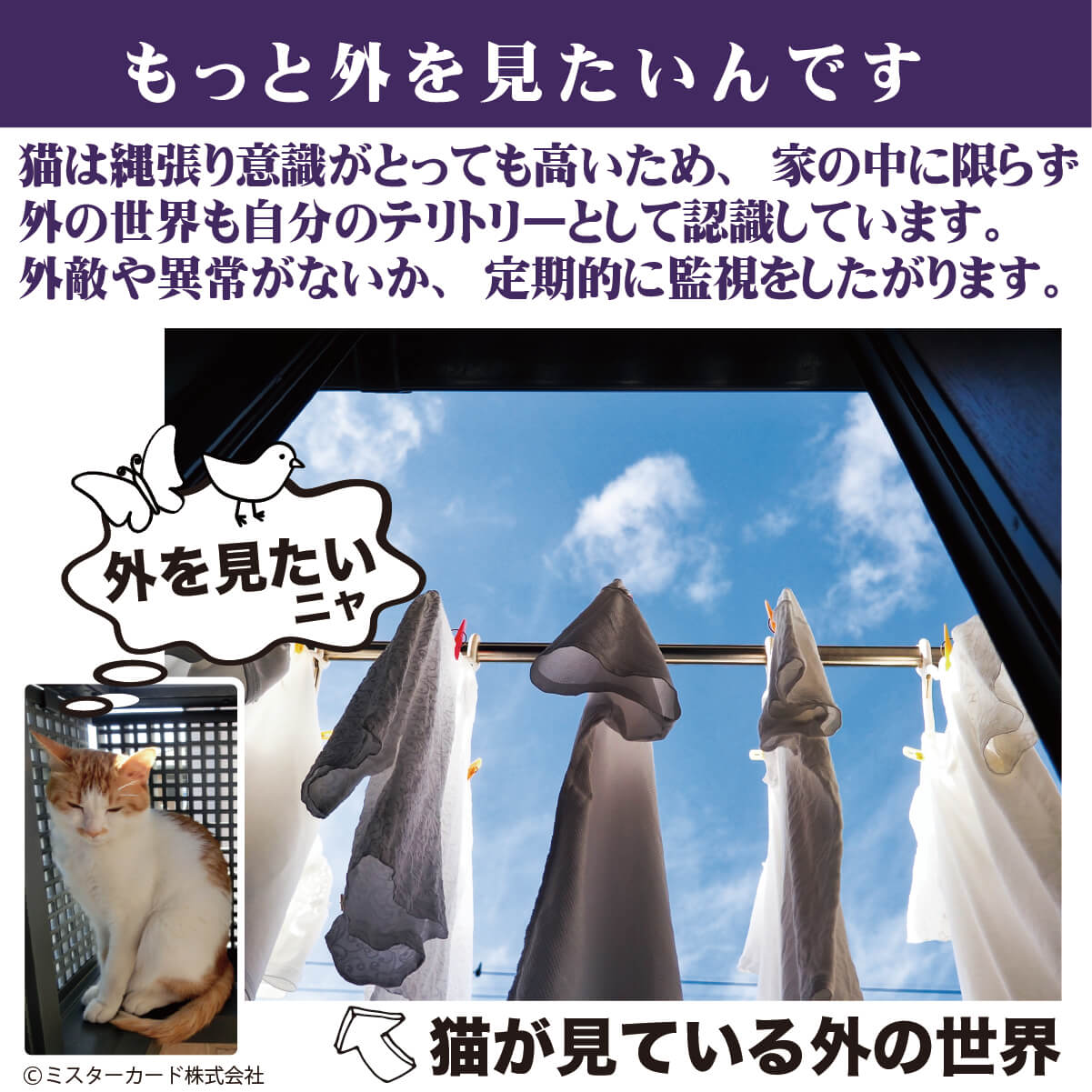 猫用ベッド JOYCATハンギングバスケット MR-PETJC-092 自由に組み合わせられる吸盤式キャットタワー JOYCATシリーズ | JoyCat | 06