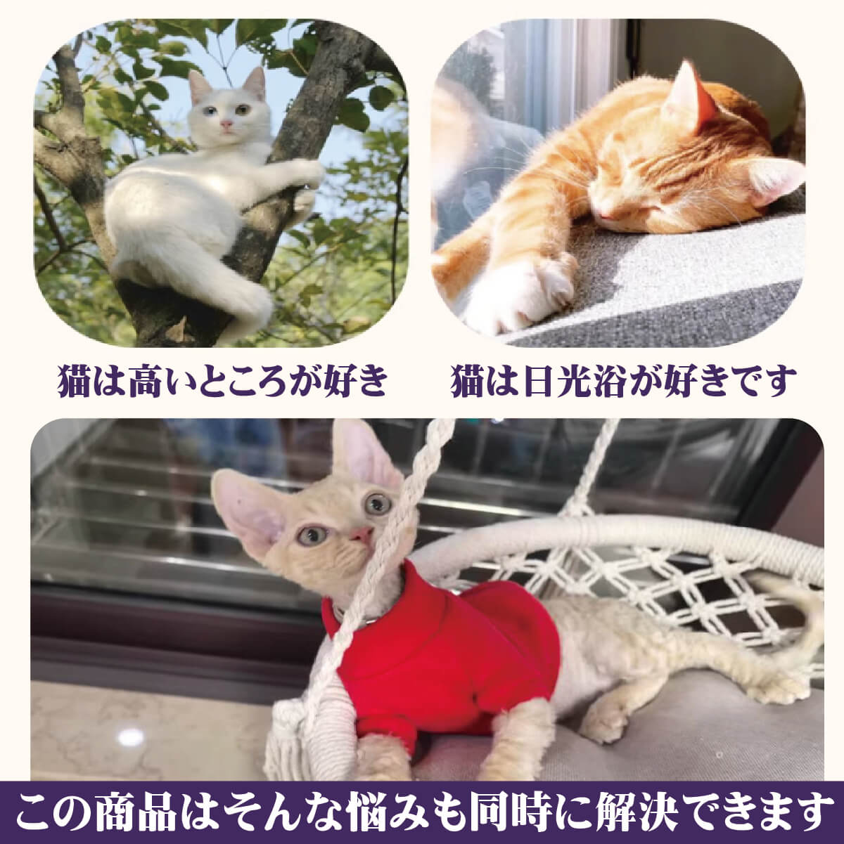 猫用ベッド JOYCATハンギングバスケット MR-PETJC-092 自由に組み合わせられる吸盤式キャットタワー JOYCATシリーズ | JoyCat | 08