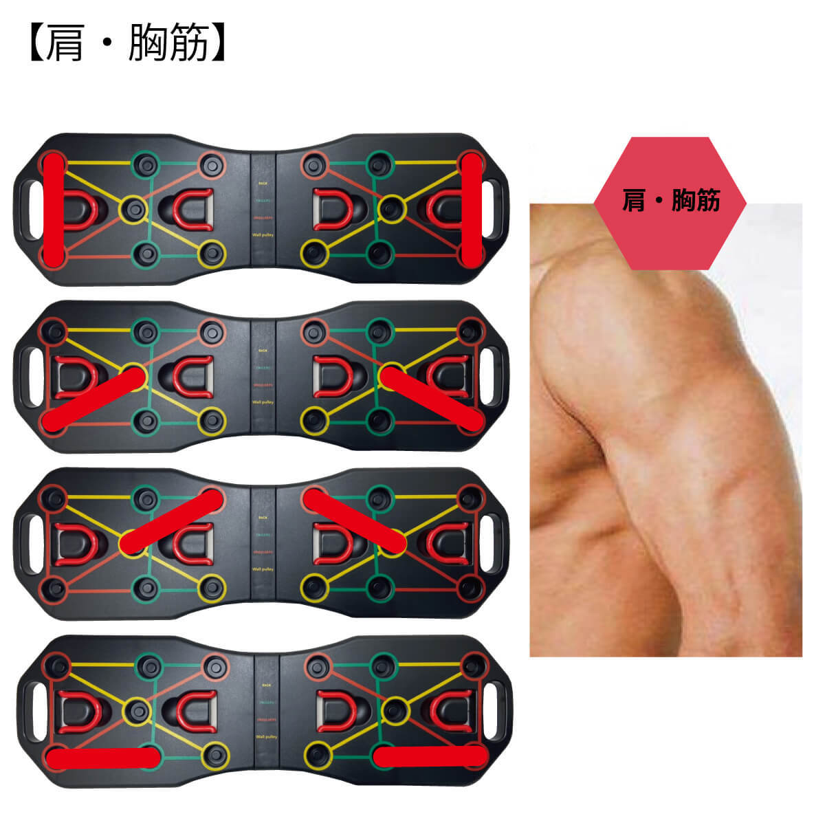 トレーニング ボード システム トレーニングチューブ・グローブ付き