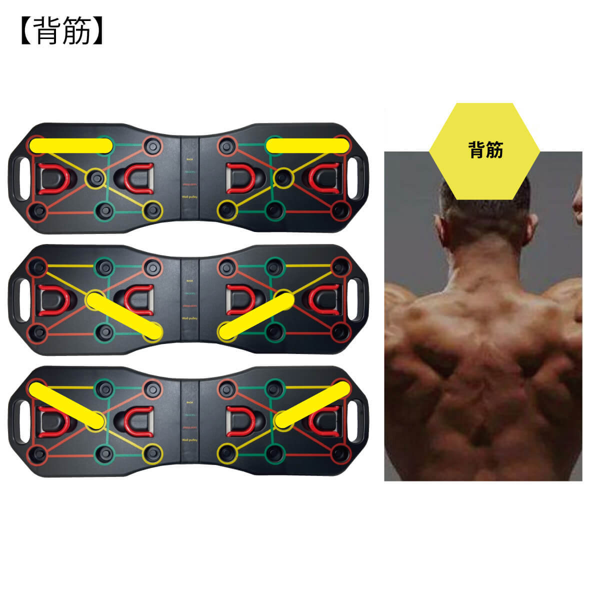 トレーニング ボード システム トレーニングチューブ・グローブ付き