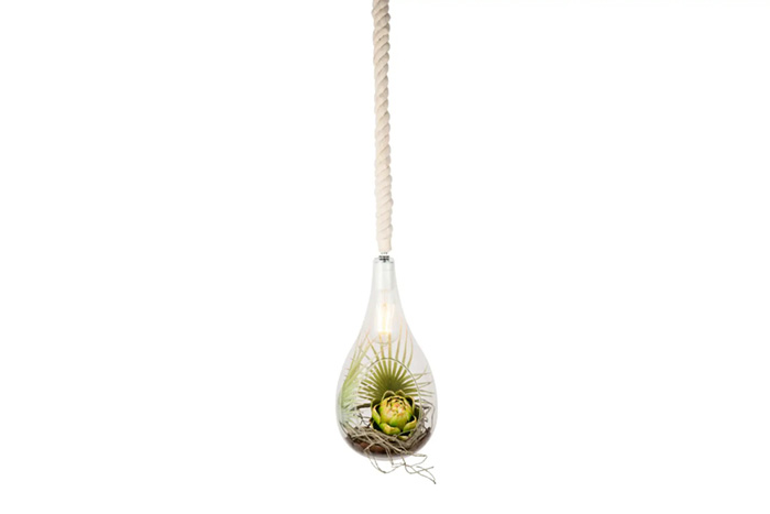 スワン電器 SWAN BOTANIC HANGING LIGHT with FAKEGREEN ペンダント