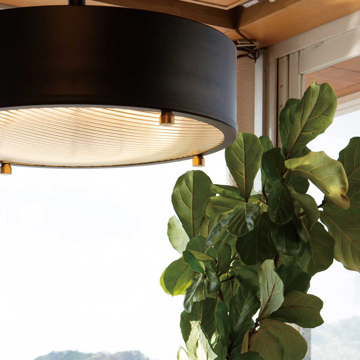 HERMOSA ハモサ シーリングライト NEIL CEILING LAMP 引掛け