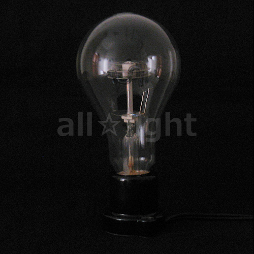 旭光電機工業 アサヒ ヒヨコ保温電球 E26口金 100W ペットヒーター