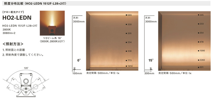 ＤＮライティング 屋外用LED照明器具 HO2-LEDN-FPL 光源一体型 電源