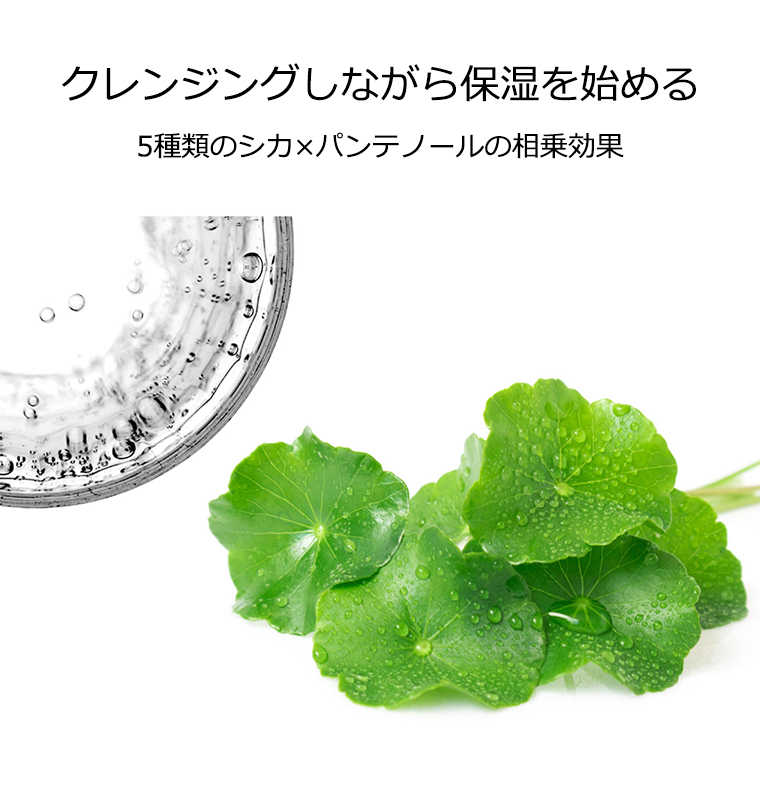 フィトツリー フィトシード アミノ クレンジングフォーム 150ml 韓国コスメ PHYTOTREE 洗顔 弱酸性 保湿 メイク スキンケア  インスタ映え 正規品 国内配送 :8809672340184:アリュール Yahoo!店 - 通販 - Yahoo!ショッピング