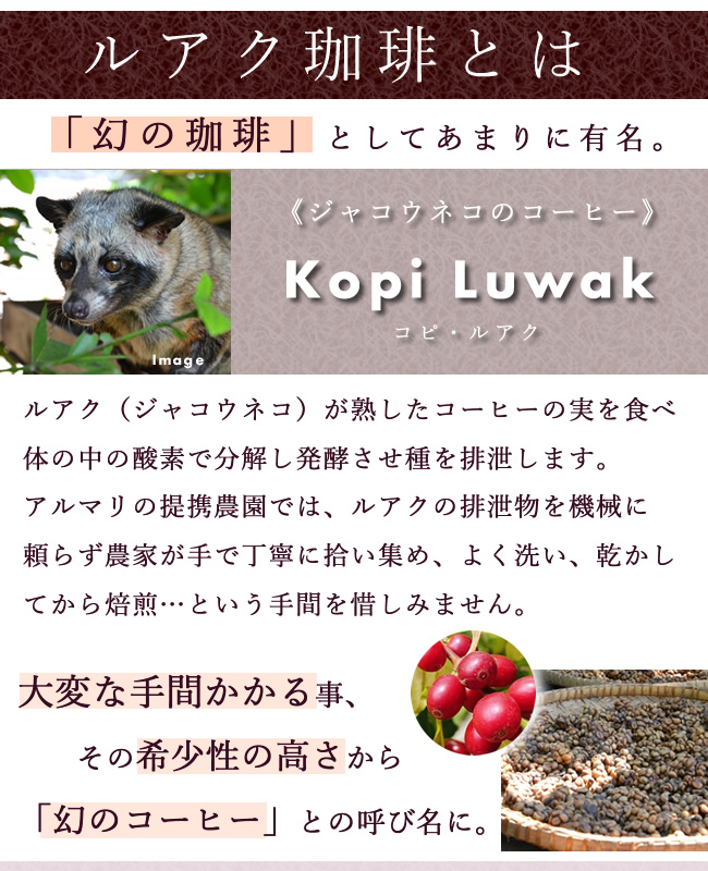 ルアックコーヒー コピルアク コーヒー豆 珈琲 ルアク ルワック ルワク