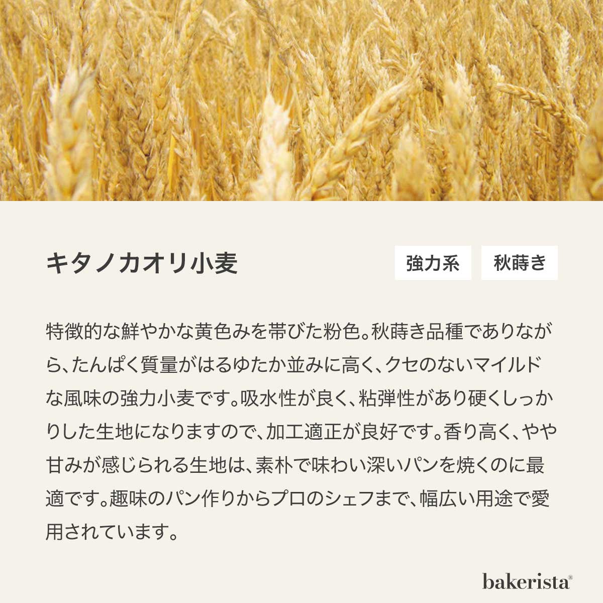 小麦粉 強力粉 キタノカオリストレート 250g×10袋 北海道産 パン用｜alnaturia｜04