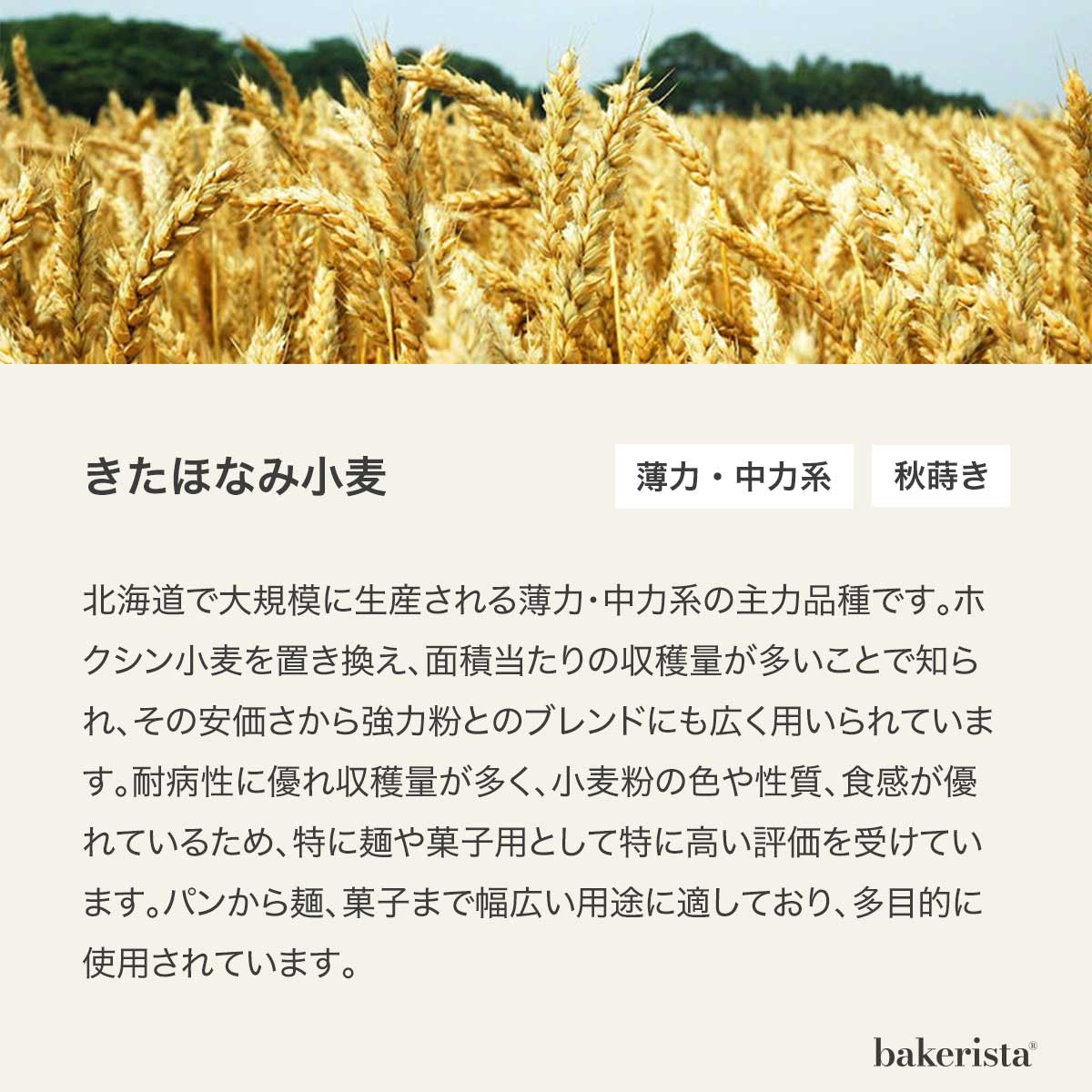 小麦粉 有機きたほなみ 5kg（2.5kg×2袋） 北海道産｜alnaturia｜02