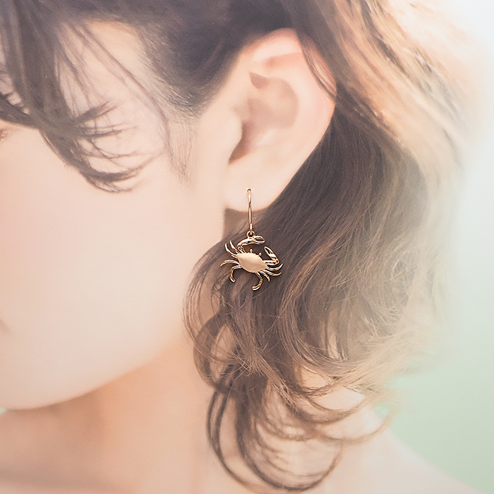 ハワイアンジュエリー ピアス フックピアス イヤリング シルバー925
